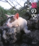 【アウトレット本　63%オフ】猫の空