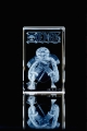 キュービックシアター 「ワンピース コレクション」 Log Collectionシリーズ ルフィ (15周年記念ヴァージョン)