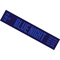 2012 CNBLUE Live ’Blue Night’ in Seoul Goods － スローガンタオル