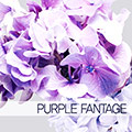 KARA Pandora Purple Fantage フォトセット （15pcs）