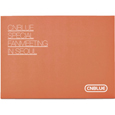 CNBLUE　スペシャルファンミーティング　ポストカードセット　（タイプA）