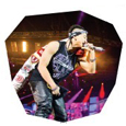 BIGBANG 2013 Alive Tour イメージピケット（うちわ） テヤン