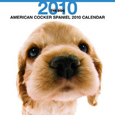 THE DOG アメリカン・コッカー・スパニエル カレンダー 2010