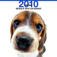 THE DOG ビーグル カレンダー 2010
