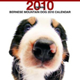 THE DOG バーニーズ・マウンテン・ドッグ カレンダー 2010