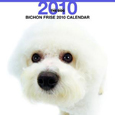 THE DOG ビション・フリーゼ カレンダー 2010