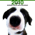 THE DOG ボーダー・コリー カレンダー 2010