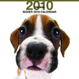 THE DOG ボクサー カレンダー 2010