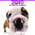THE DOG ブルドッグ カレンダー 2010