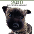 THE DOG ケアーン・テリア カレンダー 2010