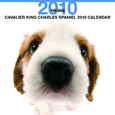 THE DOG キャバリア・キング・チャールズ・スパニエル カレンダー 2010