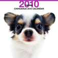 THE DOG チワワ カレンダー 2010