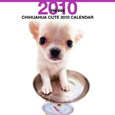 THE DOG チワワ(キュート) カレンダー 2010