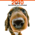THE DOG ダックスフンド カレンダー 2010