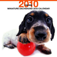 THE DOG ミニチュア・ダックスフンド カレンダー 2010
