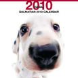 THE DOG ダルメシアン カレンダー 2010
