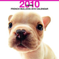THE DOG フレンチ・ブルドッグ カレンダー 2010