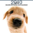 THE DOG ゴールデン・レトリーバー カレンダー 2010