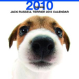 THE DOG ジャック・ラッセル・テリア カレンダー 2010