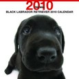 THE DOG ラブラドール・レトリーバー(ブラック) カレンダー 2010