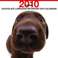 THE DOG ラブラドール・レトリーバー(チョコレート) カレンダー 2010