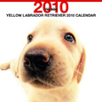 THE DOG ラブラドール・レトリーバー(イエロー) カレンダー 2010