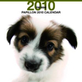 THE DOG パピヨン カレンダー 2010