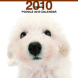 THE DOG プードル カレンダー 2010