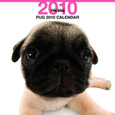 THE DOG パグ カレンダー 2010