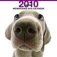 THE DOG ワイマラナー カレンダー 2010