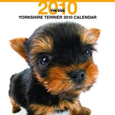 THE DOG ヨークシャ・テリア カレンダー 2010