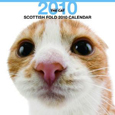 THE CAT スコティッシュ・フォールド カレンダー 2010