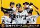 卓上 阪神タイガースチーム週めくり カレンダー 2016