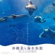 沖縄美ら海水族館　2012カレンダー