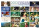 スタジオジブリ作品名場面集　2012カレンダー