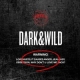 1集アルバム：DARK　＆　WILD