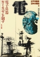 太平洋戦争日本の敗因　電子兵器「カミカゼ」を制す(3)