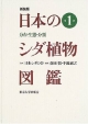 日本のシダ植物図鑑(1)