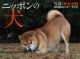 ニッポンの犬　カレンダー　2019