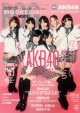 BIG　ONE　GIRLS　ARTIST　FILE　AKB48・SKE48・NMB48・モーニング娘。(13)