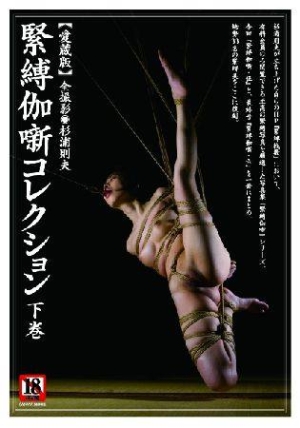 サンワムック緊縛蔵緊縛 緊縛伽噺コレクション＜愛蔵版＞（下）/杉浦則夫 本・漫画やDVD・CD・ゲーム、アニメをTポイントで通販 | TSUTAYA オンラインショッピング