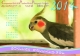 コンパニオンバード　インコ　鳥A4写真カレンダー　2014