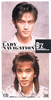 ＬＡＤＹ　ＮＡＶＩＧＡＴＩＯＮ