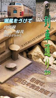 列車通り　２８～潮風をうけて／内房線　特急さざなみ８号（館山→蘇我）