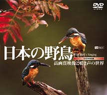 日本の野鳥　高画質映像と鳴き声の世界