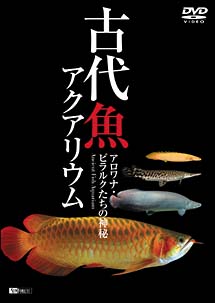 古代魚アクアリウム　－アロワナ・ピラルクたちの神秘－