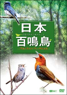 日本百鳴鳥／映像と鳴き声で愉しむ野鳥図鑑