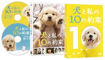 犬と私の10の約束 プレミアム・エディション/田中麗奈 本・漫画やDVD・CD・ゲーム、アニメをTポイントで通販 | TSUTAYA  オンラインショッピング
