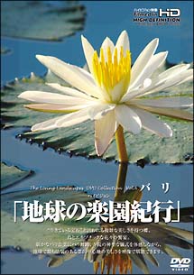 地球の楽園紀行　バリ