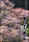 日本の美　桜　～西日本編～